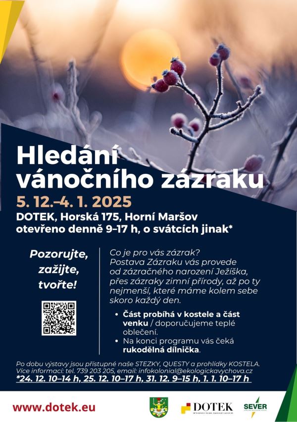 Hledání vánočního zázraku