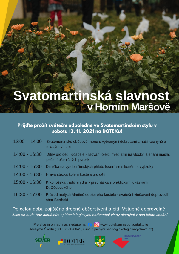 Svatomartinská slavnost