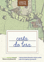 4. CESTA do lesa